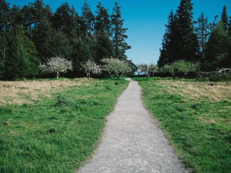 Сплав по Катуни